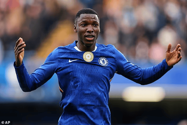 名记者Ki, 周报, 凯塞多的动 名记者Ki, 周报, 凯塞多的动